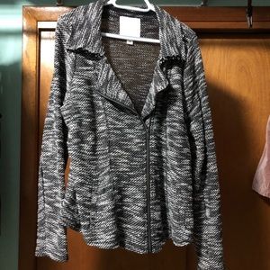 Maurices sweater moto jacket